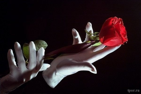 Макс Лукадо — Люди с розами