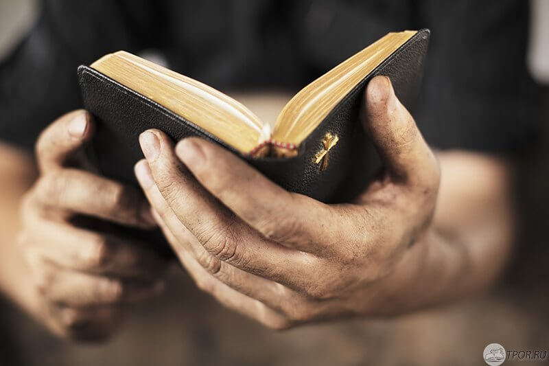 10 вещей, которые Библия сделает для тебя
